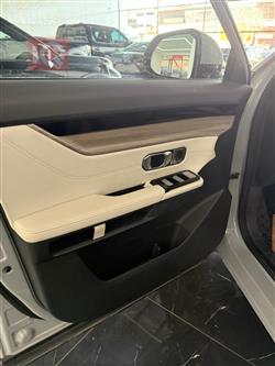 جیتۆر داشينگ